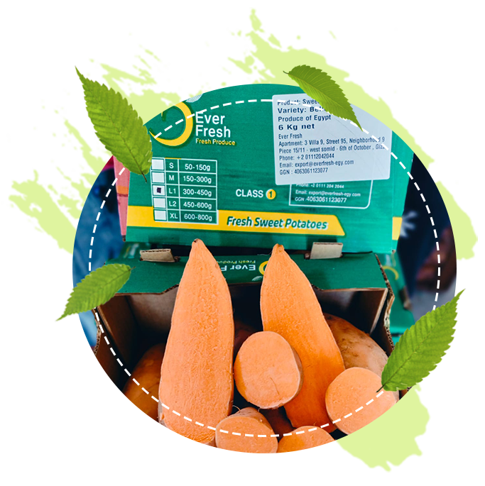 sweetpotato